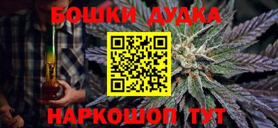 индика Будённовск