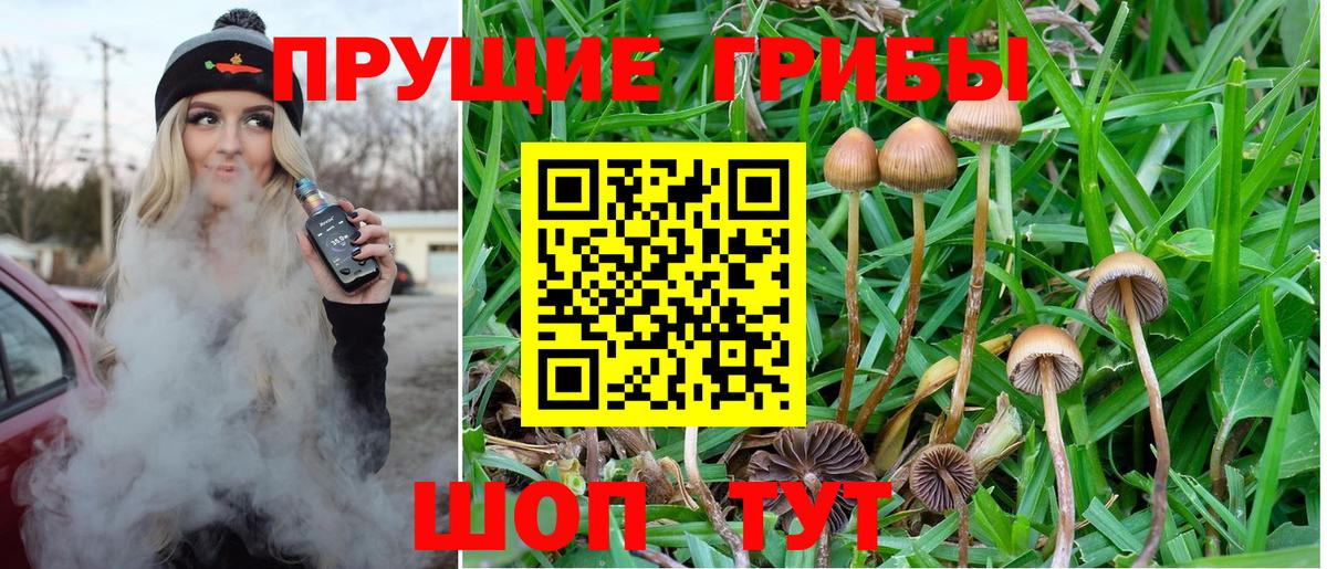 Псилоцибиновые грибы GOLDEN TEACHER  Галлюциногенные грибы ЛСД  Мелеуз  Вход с VPN 