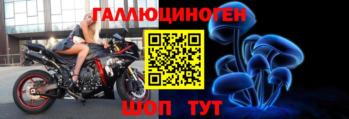 Псилоцибиновые грибы Psilocybe Мелеуз